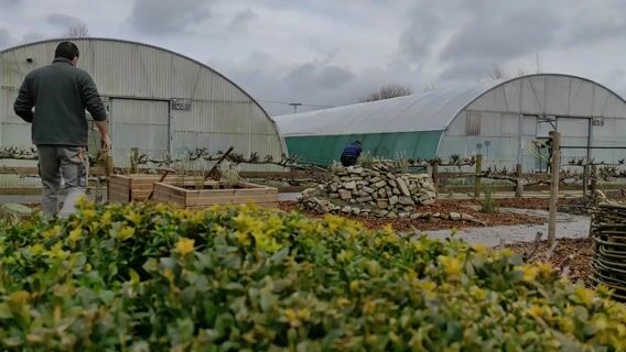 Paysagiste d'aujourd'hui.