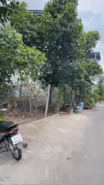 Mua bán Đất Thành phố Dĩ An Bình Dương diện tích 145.5 m² giá 7 tỷ