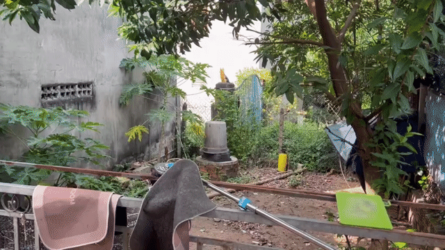Mua bán Nhà ở Huyện Củ Chi Tp Hồ Chí Minh diện tích 252 m² giá 3,4 tỷ