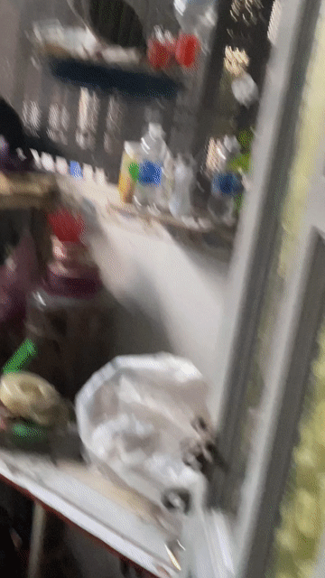 Chim cu gáy Malay gấy gù nhiều. Mua bán Chim tại Thành phố Dĩ An Bình Dương được đăng bởi BĐS Bình Dương  hình 1