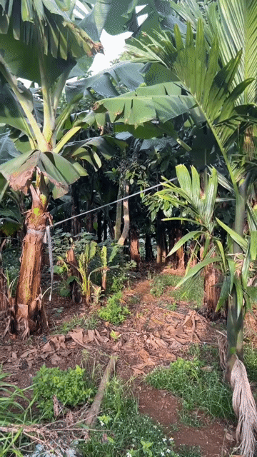 BƠ 034 LÂM ĐỒNG. Mua bán Đồ ăn, thực phẩm và các loại khác tại Quận Tân Bình Tp Hồ Chí Minh được đăng bởi Diep Nguyen hình 1
