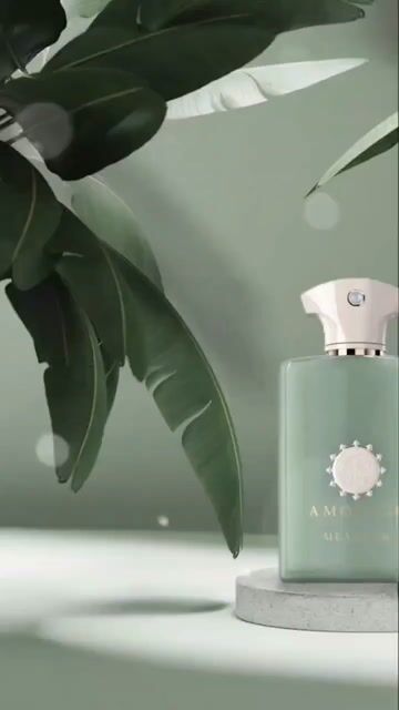 アムアージュ ミアンダー 100ml Amouage Meander / Amouage EDP Spray 3.4 oz (100 ml) (U