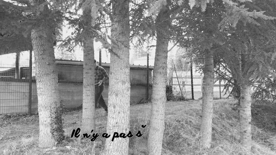 Le bûcheron à travers le temps