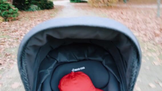 Accompagnons le futur