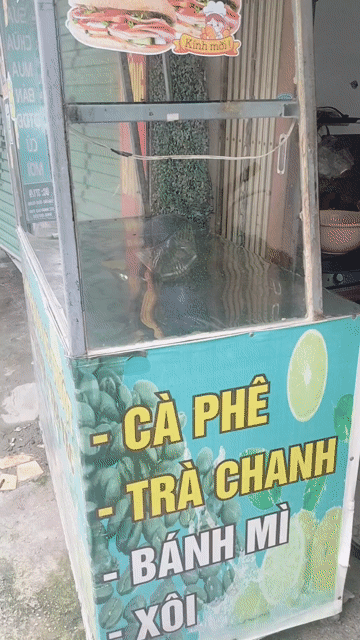 Cân điện tử Tân Phong 150kg 37cm 98%. Mua bán Nội thất, đồ gia dụng khác tại Quận Hà Đông Hà Nội được đăng bởi Phuong Linh hình 1