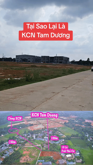 Mua bán Đất Huyện Tam Dương Vĩnh Phúc diện tích 130 m² giá 500 triệu