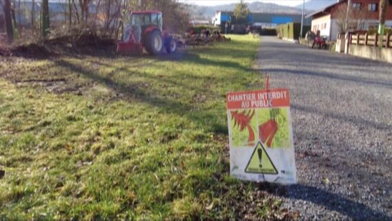 Abattages manuels à la tronçonneuse