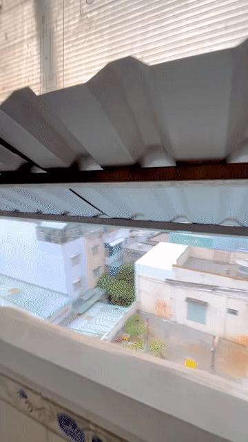 Cho thuê Phòng trọ Quận Gò Vấp Tp Hồ Chí Minh diện tích 30 m² giá 2,8 triệu/tháng