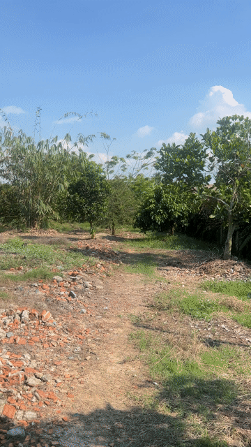 Mua bán Đất Huyện Củ Chi Tp Hồ Chí Minh diện tích 1987 m² giá 9,2 tỷ