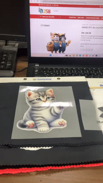In Kỹ Thuật Số màng PET, vải COTTON, vải  POLYESTE. Mua bán Đồ dùng văn phòng tại Huyện Trảng Bom Đồng Nai được đăng bởi Ca Bán Cá hình 1