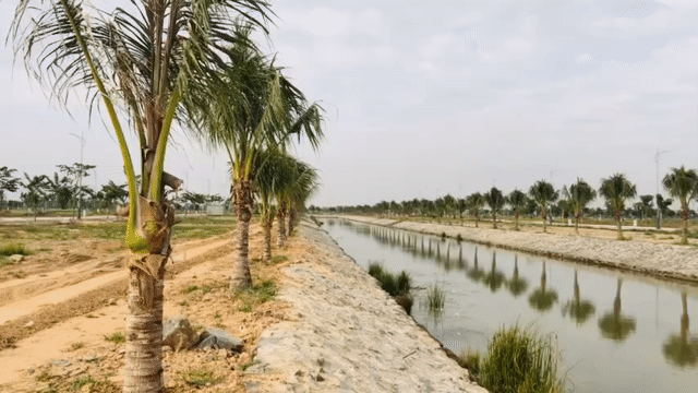 Mua bán Đất Biên Hòa New City Thành phố Biên Hòa Đồng Nai diện tích 240 m² giá 3,6 tỷ