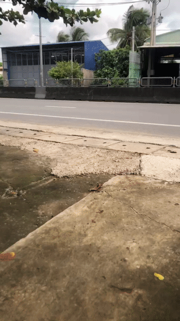 Mua bán Đất Huyện Châu Thành Tiền Giang diện tích 130 m² giá 4 tỷ