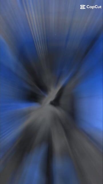 Chó Phú Quốc Đen mực 2 tháng. Mua bán Chó tại Quận Ninh Kiều Cần Thơ được đăng bởi Penta Store hình 1