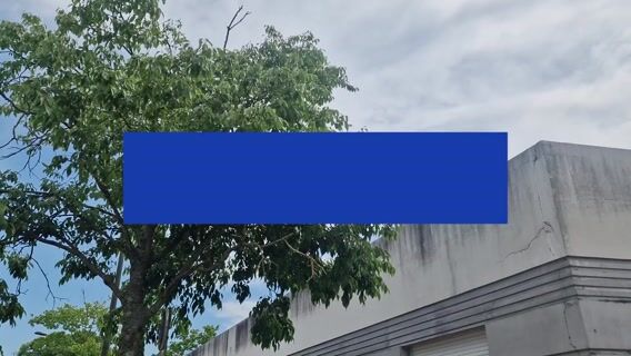 #77 A la découverte du métier d'infographiste