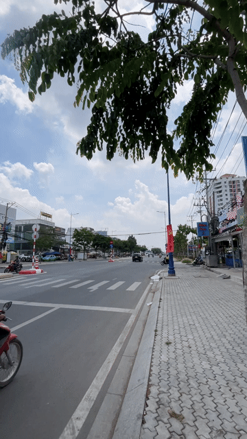 Cho thuê Đất Thành phố Thủ Đức Tp Hồ Chí Minh diện tích 1800 m² giá 90 triệu/tháng