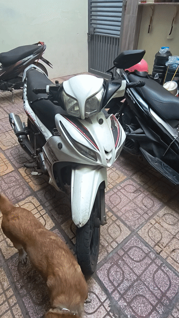 Yamaha Jupiter màu Trắng. Mua bán Xe máy tại Thành phố Nha Trang Khánh Hòa được đăng bởi le hao hình 1