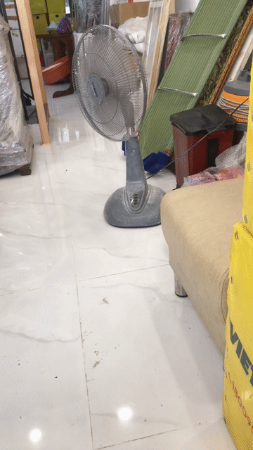 Quạt đứng SENKO LS-103 Xám. Mua bán Quạt tại Quận Tân Phú Tp Hồ Chí Minh được đăng bởi Nguyenngocphuoc hình 1