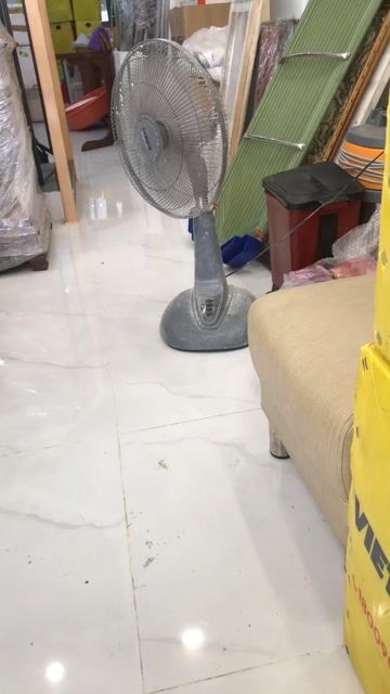 Quạt đứng SENKO LS-103 Xám. Mua bán Quạt tại Quận Tân Phú Tp Hồ Chí Minh được đăng bởi Nguyenngocphuoc hình 1