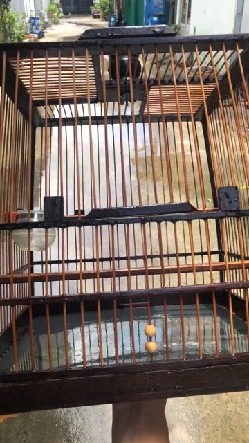 Lồng chim Gỗ Nâu. Mua bán Phụ kiện, Thức ăn, Dịch vụ tại Thành phố Thủ Đức Tp Hồ Chí Minh được đăng bởi minh triệu hình 1