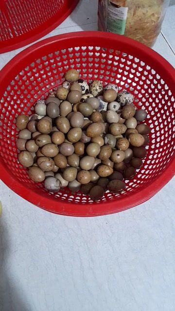 Trứng gà rutin. Mua bán Đồ ăn, thực phẩm và các loại khác tại Thị xã Bình Minh Vĩnh Long được đăng bởi Nguyen thanh nam hình 1