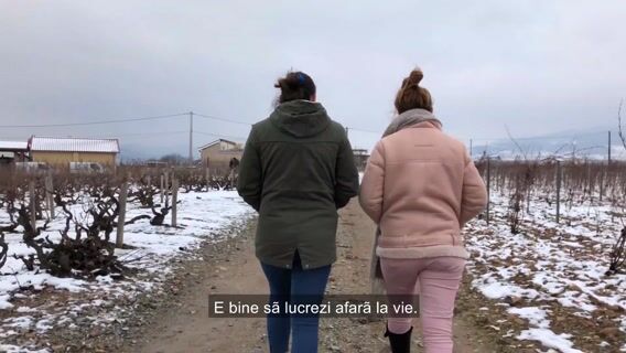 Un viticulteur engagé