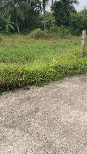 Mua bán Đất Thành phố Mỹ Tho Tiền Giang diện tích 100 m² giá 420 triệu