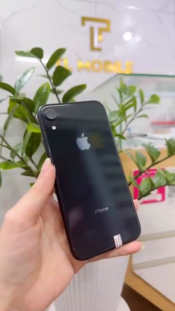 Apple iPhone XR 128g đen. Mua bán Điện thoại tại Thành phố Huế Thừa Thiên Huế được đăng bởi TL mobile 179 bùi thị xuân  huế hình 1