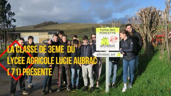 Le métier d'éleveur caprins