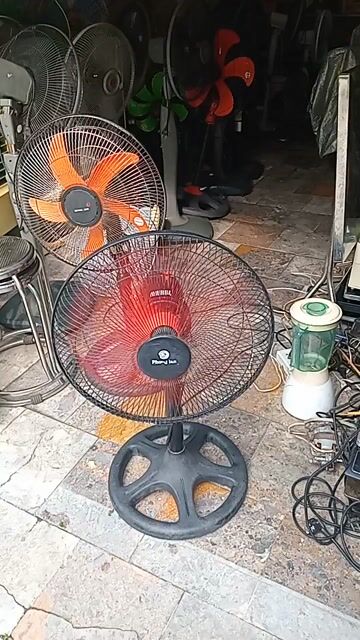 Quạt bàn Phong Lan Đen, Đỏ  còn rất chât. Mua bán Quạt tại Quận Hải An Hải Phòng được đăng bởi Tuan Tran hình 1