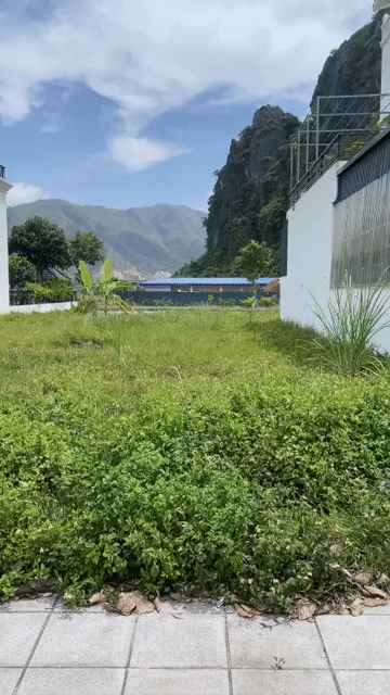 Mua bán Đất Huyện Vân Đồn Quảng Ninh diện tích 360.1 m² giá 13,2 tỷ