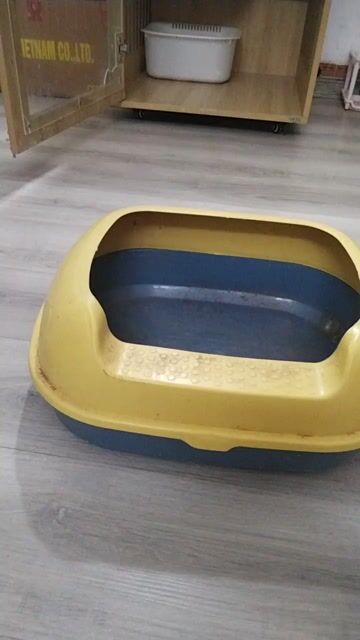Khay vệ sinh cho Mèo. Mua bán Phụ kiện, Thức ăn, Dịch vụ tại Quận Đống Đa Hà Nội được đăng bởi Tiên Tiên hình 1