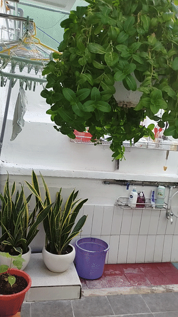 Cho thuê Phòng trọ Quận 3 Tp Hồ Chí Minh diện tích 40 m² giá 6 triệu/tháng