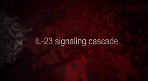 Interleukin-23 Signaling Cascade