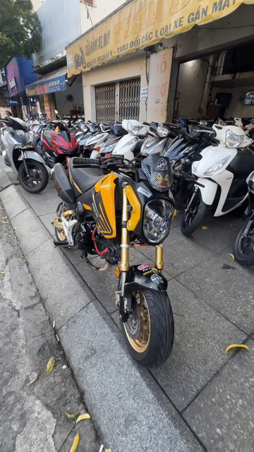 Honda MSX 125 2016 Vàng đen. Mua bán Xe máy tại Quận Tân Phú Tp Hồ Chí Minh được đăng bởi Tuanduy hình 1