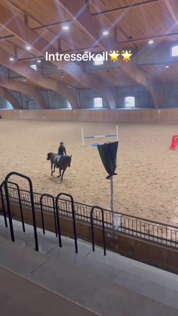 Bästa vän tillsalu