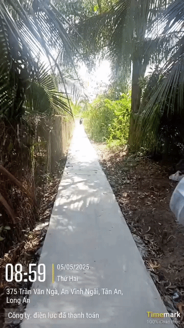 Mua bán Đất Thành phố Tân An Long An diện tích 1000 m² giá 850 triệu