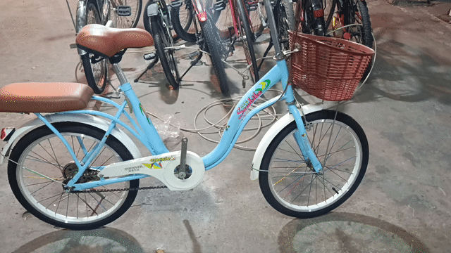 Xe đạp bé gái Xanh dương 20 inch. Mua bán Xe đạp tại Quận Bình Tân Tp Hồ Chí Minh được đăng bởi xả kho dòng xe đạp thể thao  hình 1