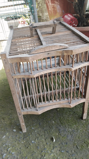 Lồng Chim Tắm Gỗ Màu Nâu. Mua bán Phụ kiện, Thức ăn, Dịch vụ tại Huyện Hóc Môn Tp Hồ Chí Minh được đăng bởi Khoa Anh hình 1