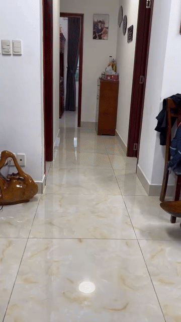 Cho thuê Căn hộ Chung cư Chung cư Phúc Thịnh Quận 5 Tp Hồ Chí Minh diện tích 86 m² giá 13 triệu/tháng