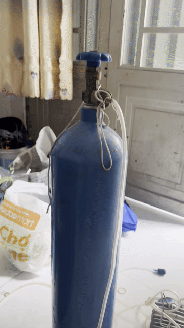 Bình oxy 10 lít bơm cá còn khí. Mua bán Phụ kiện, Thức ăn, Dịch vụ tại Quận 8 Tp Hồ Chí Minh được đăng bởi huỳnh nhất hình 1