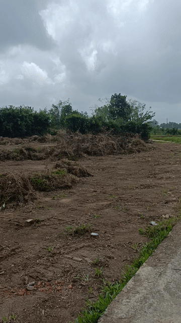 Mua bán Đất Huyện Đại Lộc Quảng Nam diện tích 622 m² giá 2,95 tỷ