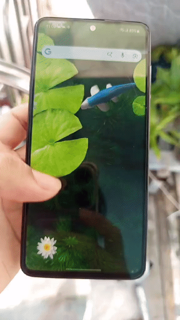 Samsung Galaxy A51 Xanh đen Đã sử dụng. Mua bán Điện thoại tại Quận Tân Phú Tp Hồ Chí Minh được đăng bởi Giang Ng hình 1