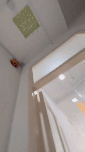 Cho thuê Căn hộ Chung cư Quận Tân Bình Tp Hồ Chí Minh diện tích 30 m² giá 4,5 triệu/tháng