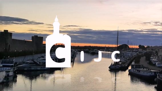 Le manadier en Camargue