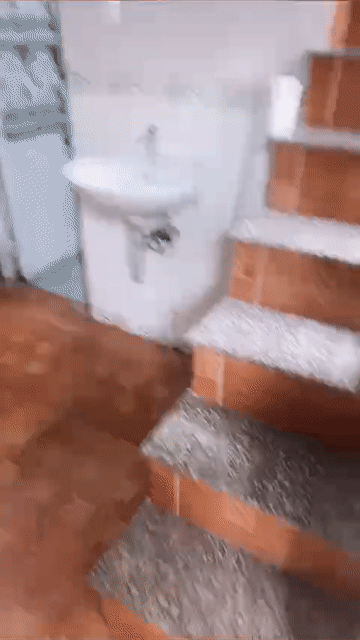 Cho thuê Phòng trọ Thành phố Thủ Đức Tp Hồ Chí Minh diện tích 47 m² giá 3,5 triệu/tháng
