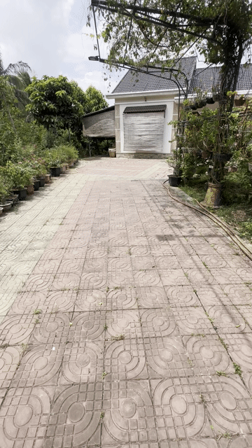 Mua bán Nhà ở Huyện Châu Thành Bến Tre diện tích 9192 m² giá 16 tỷ