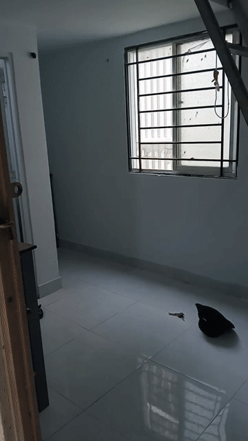 Cho thuê Phòng trọ Thành phố Thủ Đức Tp Hồ Chí Minh diện tích 18 m² giá 2,5 triệu/tháng