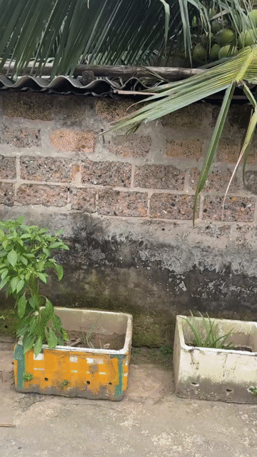 Mua bán Đất Thành phố Hưng Yên Hưng Yên diện tích 112 m² giá 4,6 tỷ