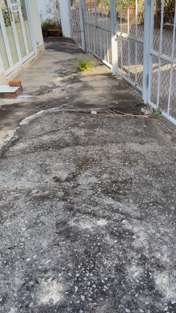 Mua bán Nhà ở Thành phố Trà Vinh Trà Vinh diện tích 210 m² giá 3,25 tỷ