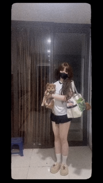 Chó Sóc lai F1 đực. Mua bán Chó tại Quận Đống Đa Hà Nội được đăng bởi Giáng Ngọc hình 1